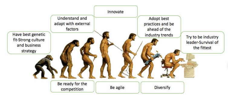Εξέλιξη και φυσική επιλογή στίς Εξαγωγές